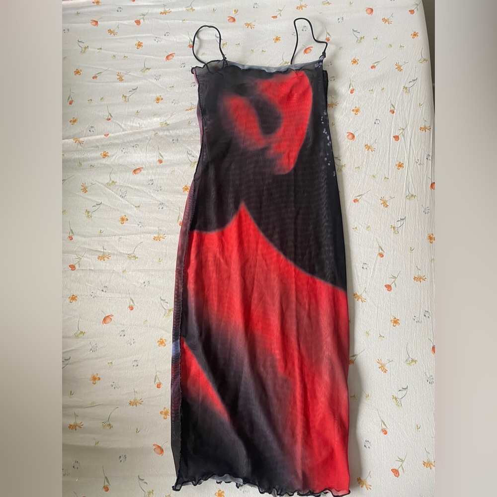 Aune Collection sheer dress